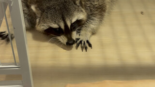 得了，电视没得看了