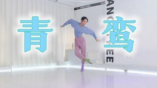 世间只此一只的神鸟青鸾~（舞蹈翻跳）