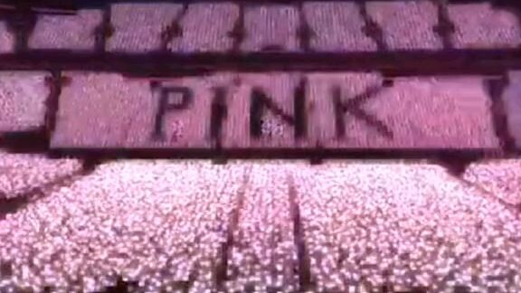 blackpink