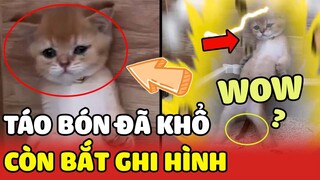 Khi Hoàng Thượng bị táo bón nhưng con Sen lại lấy ra làm trò cười🤣 | Yêu Lu