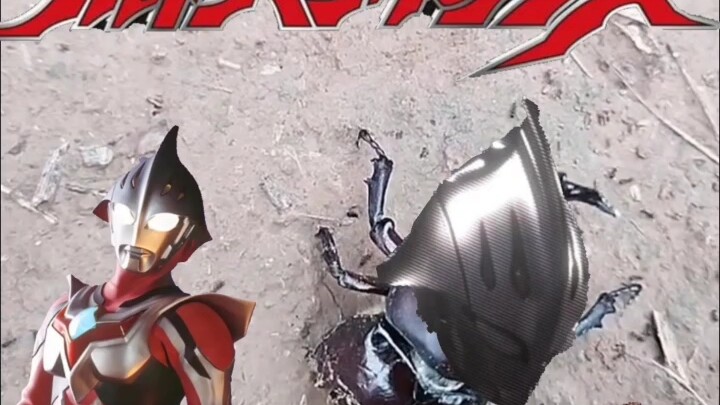 الخنفساء في هذه اللحظة: "حتى لو تآكل جسدي وتضرر، سأحمي بكل قوتي أضواء آلاف المنازل خلفي!!! (إشارة إل