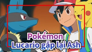 [Pokémon] Anh hùng Lucario gặp lại Ash Ash agian