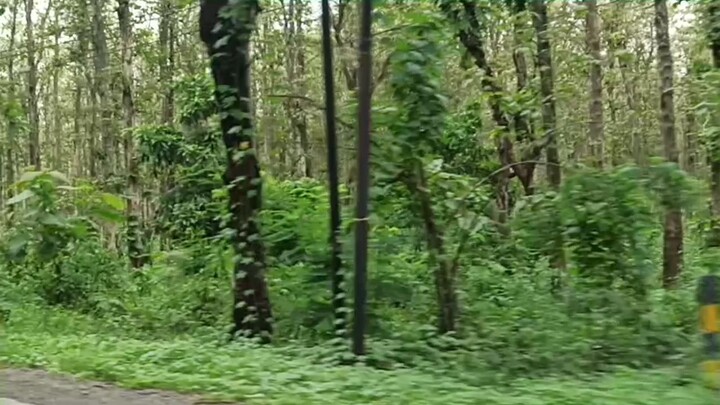 video test