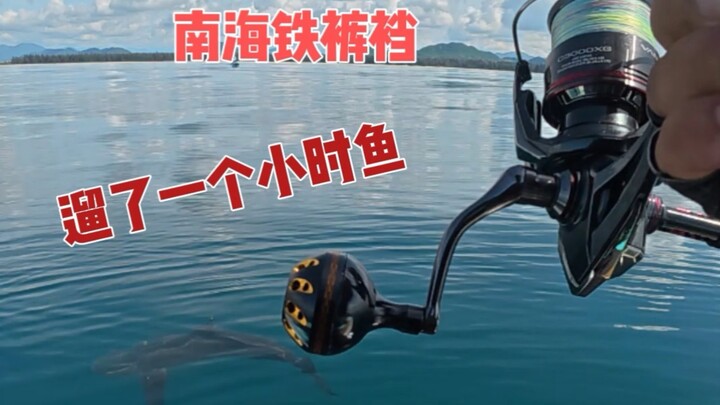 Dân câu cá thường trở nên rụt rè vì không có một chiếc lao cá.