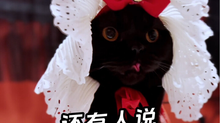 Tidak mirip, tidak mirip, sama sekali tidak mirip! Coba lihat punya kalian?