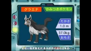 オーキド博士のポケモン講座(グラエナ)