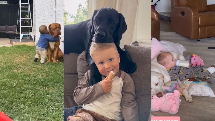 It turns out a dog's gentleness can be so overflowing!