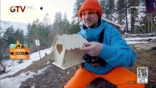 GTV HD • BLIPPI MOONBUG • 01-05-2025 • Episode 1