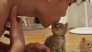 Seberapa menenangkan kucing kecil