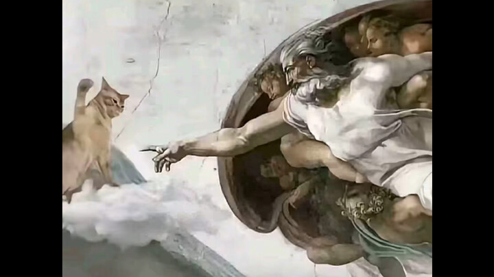 Why Cats Can’t Go to Heaven