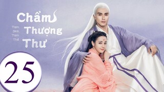 Tam Sinh Tam Thế Chẩm Thượng Thư - Tập 25 | Lồng Tiếng