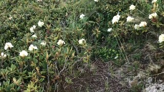 indah. gak👏👏😍😍😍