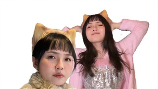 Đằng sau mỗi con mèo chạm vào mép vực là một câu chuyện buồn...