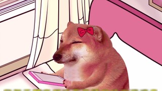 mạch não của cô ấy