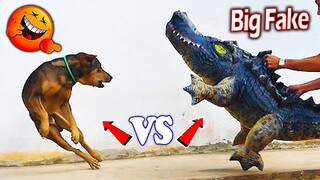 Big Fake Crocodile Dog Prank Very Funny - Prank Dog Challenge 2021 - Must Watch Funny Comedy Video