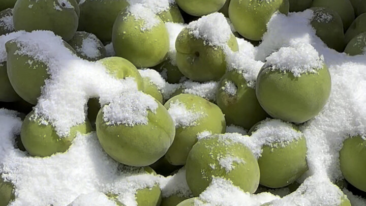 Green plums are delicious like I cook them.