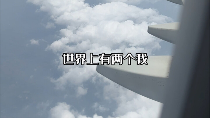 如果用“世界上有两个我”来造句