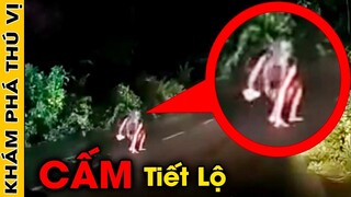 🔥 10 Bí Mật Khu Vực 51 Mà Các Nhân Viên Chẳng Bao Giờ Dám Tiết Lộ Với Bất Kỳ Ai | Khám Phá Thú Vị