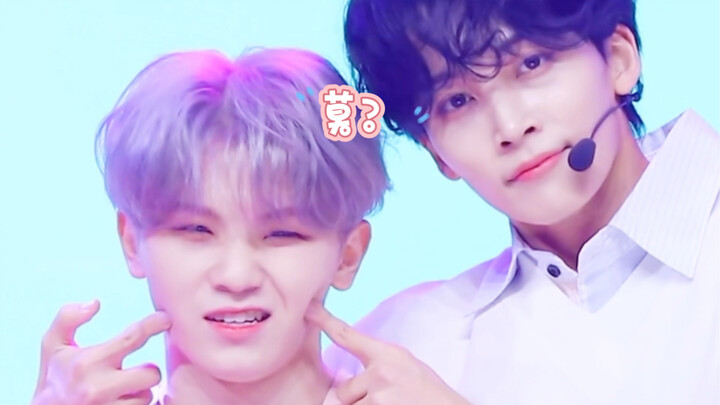 【อีจีฮุน/SEVENTEEN】แมวน้อยถ้าทำให้มันโมโหจริงๆ อาจกัดคนได้นะ (คิโยะ)