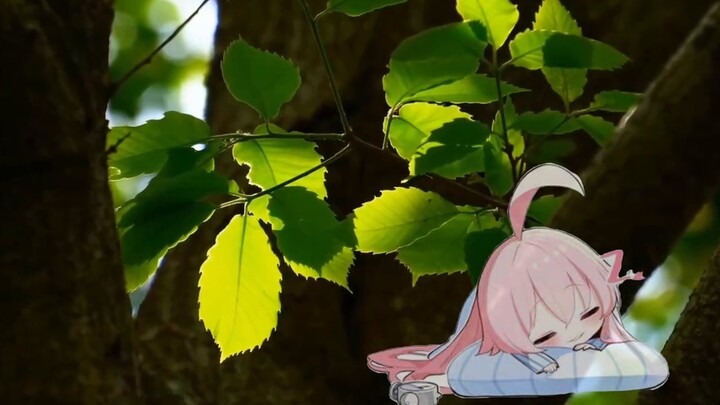 เมื่อคุณสับสน คุณควรฟังสิ่งที่ลุงโฮชิโนะพูด!