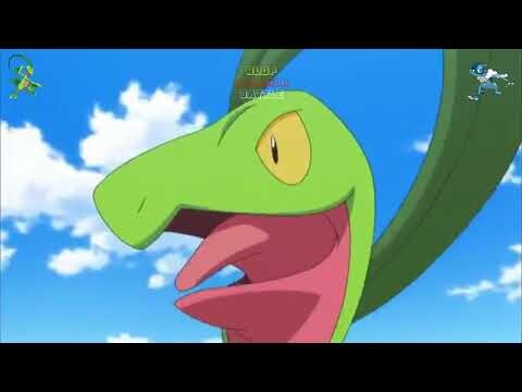 Grobail VS Frogadier   Pokemon Adventure Battle