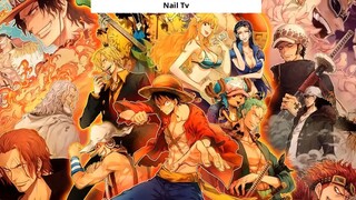 Tiền truy nã của Shanks, Benn Beckman, Yasopp và Lucky Roo [One Piece]- 1