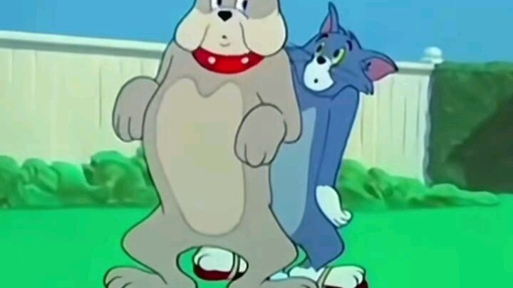 tom and jerry funny moment ✨