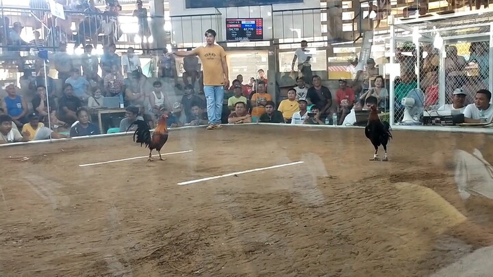 2 hits ulutan socony cockpit arena entry name AJ DECEMBER 30 first fight lose