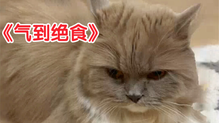 Bisa langsung bayangin dia lari ke rumah tetangga dan ngelap tiga mangkuk nasi dengan marah…!!!