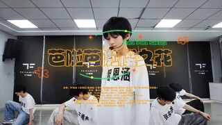 【芭啦芭啦樱之花】混剪