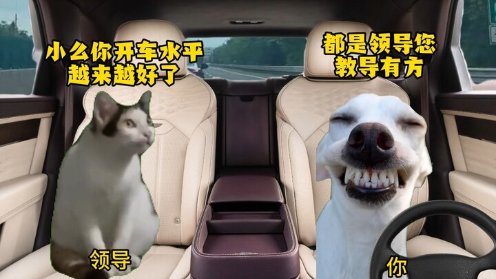 When you're on a business trip and play a song for your boss