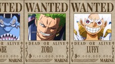 Straw hat pirates bounty after wano