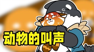 在这里你能听到各种各样的叫声……