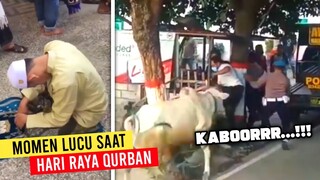 Ada Yang Dikejar Sapi..!! Deretan Momen Lucu Saat Hari Raya Qurban