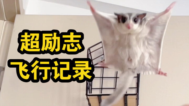 So inspiring! An ultra-motivational flight training log! The Flying Wonton Skin!