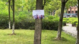 你会让谁保护你