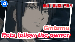 Gintama|【Katsura Kotarou Scene 4】 EP15:Pets follow the owner_4