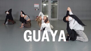 【1M】Guaya của KOOJAEMO
