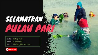 Masyarakat Peduli: Langkah Hijau Penduduk Pulau Pari Cegah Tenggelam Abrasi dengan Penghijauan