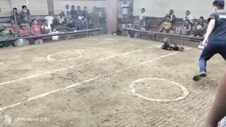 WIN @NAIC COCKPIT DOUBLE CHAMP