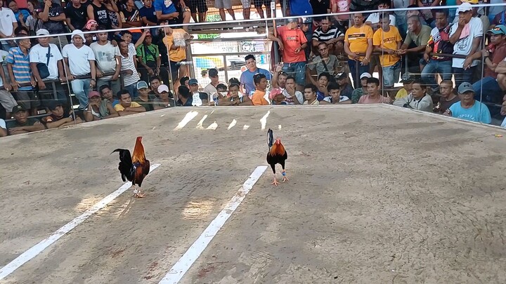 3rd fight win ##Salpukan #nationalbanded