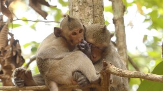Your Will Cry When You Saw This.. Super Cool To See This, Janet Make Warm To Her Sister