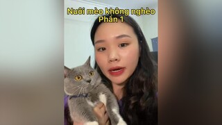 Nuôi mèo không nghèo phần 1 mèo cat meo patemeo