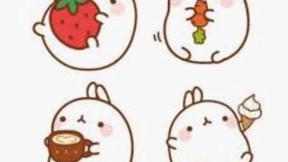 molang đây (´∩｡• ᵕ •｡∩`)