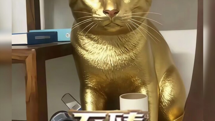 รวมสกินสำหรับผู้สูงอายุ