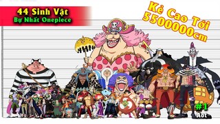 Top 44 Sinh Vật có kích thước TO LỚN nhất One piece - Kẻ Cao Gấp 31609 Lần Luffy