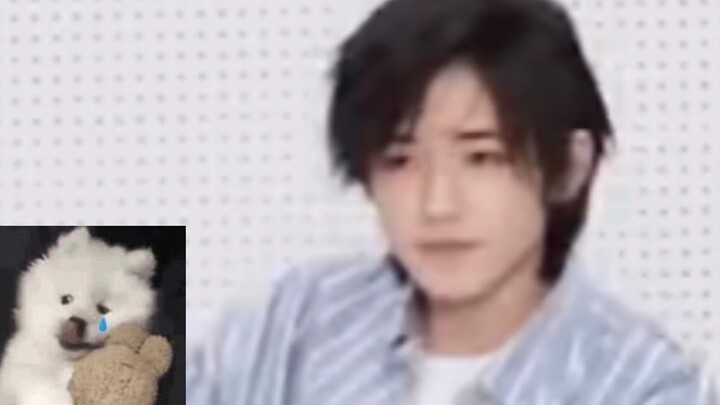 Finally figured out why Song Yaxuan is called a Samoyed! His older-sister fans are dying to pet him!