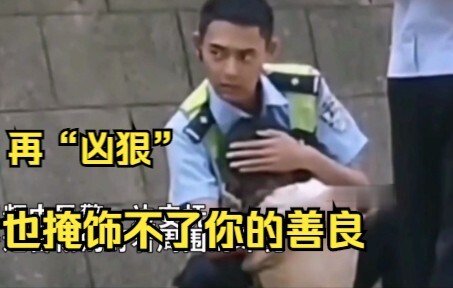 Đây chính là đặc điểm của người Trung Quốc, dù có "hung dữ" đến đâu cũng không thể che giấu được sự 