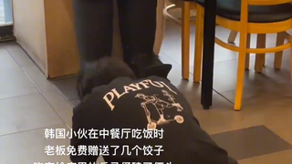 韩国小伙在韩国中餐厅吃饭时，老板赠送了几个饺子，他跪地求拜... 网友辣评： 不奇怪 他意识到了中国人发明了韩国人