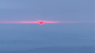 Come to Emei, Kuku, to feed the cats... monkeys!